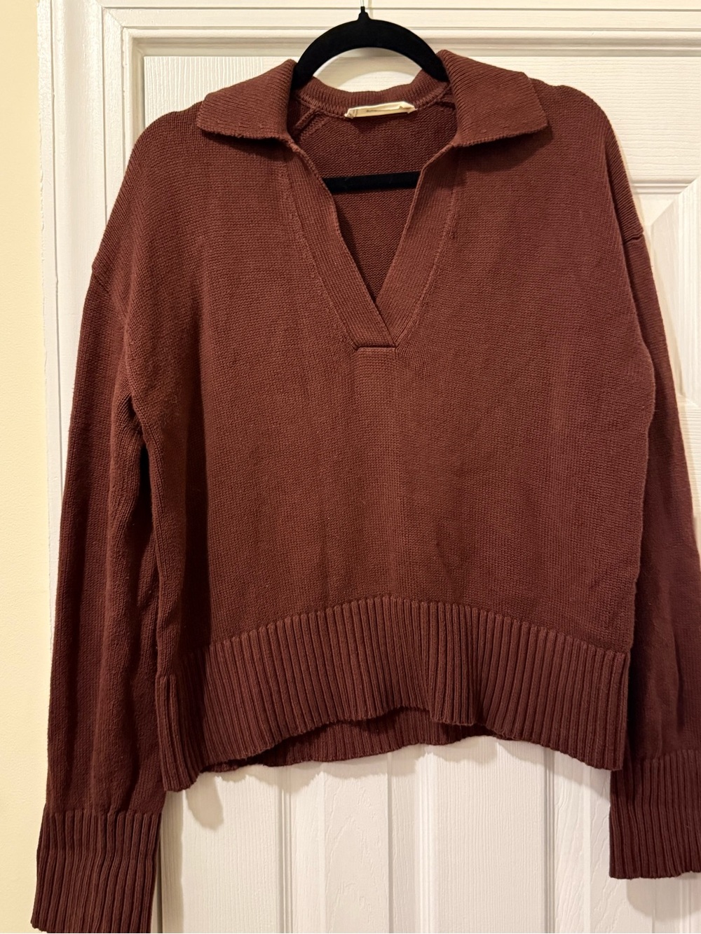 Everlane Rust Brown V-Neck Collared Knit Sweater